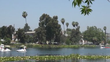 Gölde pedallı kayıklar ve Los Angeles 'taki Echo Park' ta zambak göleti.