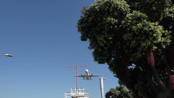 Podbřišek Tryskového Letadla Letícího Nad Námi Přistávacím Přiblížení — Stock video