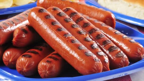 Amplíe Toma Hot Dog Parrilla Plato Picnic Con Bollos Papas — Vídeos de Stock