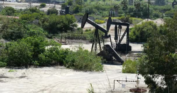 Gatos Bomba Trabajando Campo Petrolífero — Vídeos de Stock