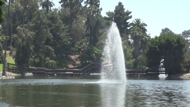 Hermosa Fuente Lago Junto Puente Cámara Lenta — Vídeo de stock