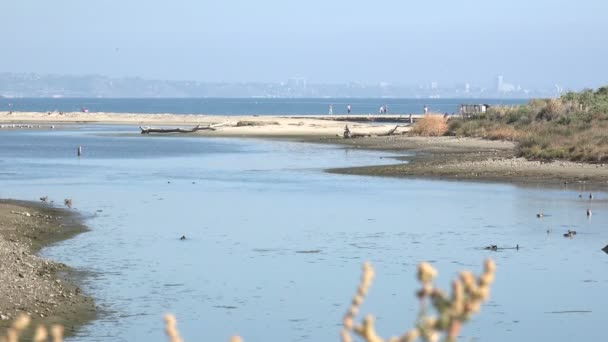 Malibu Creek Lagoon Meets Pacific Ocean — Stock Video