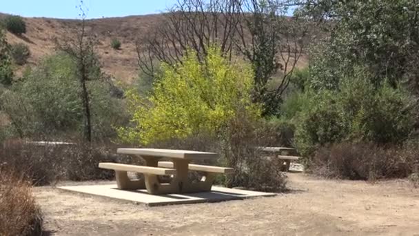 Estabelecendo Tiro Uma Mesa Piquenique Acampamento Deserto — Vídeo de Stock