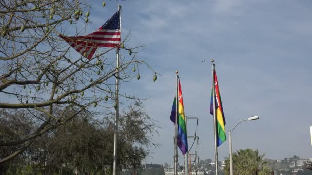 Regnbåge Gay Stolthet Flaggor Som Flyger Bredvid Usa Flagga — Stockvideo