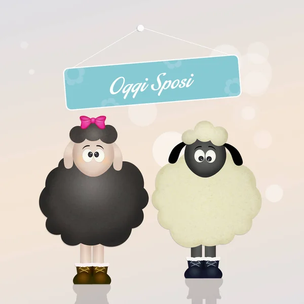 Illustratie Van Het Huwelijk Van Sheeps — Stockfoto
