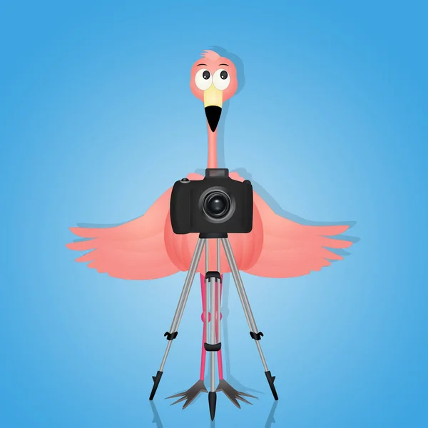 三脚架上有摄像头的粉红色火烈鸟 — 图库照片