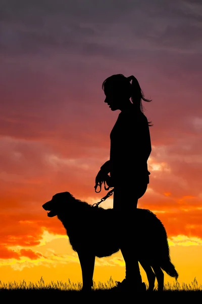 Σιλουέτα Κορίτσι Και Σκύλο Στο Ηλιοβασίλεμα — Φωτογραφία Αρχείου