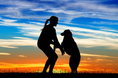 Kız köpekle günbatımında çalış.