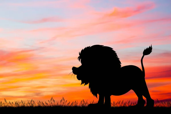 Silhouette Lion Coucher Soleil — Photo