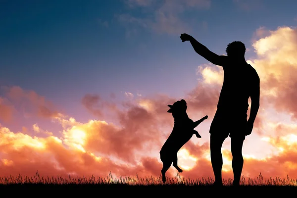 Man Met Hond Bij Zonsondergang — Stockfoto