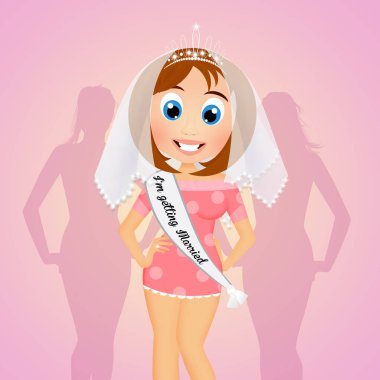 Bekarlığa veda partisinin resmi.