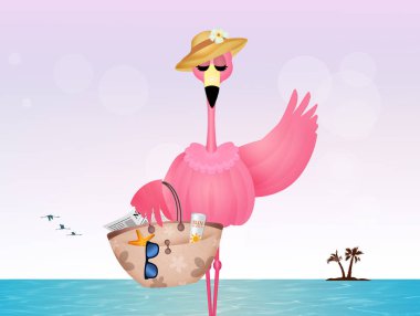 yaz tatil günlerinde pembe flamingolar