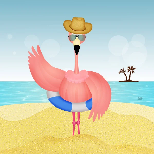 Agradável Flamingos Cor Rosa Praia — Fotografia de Stock