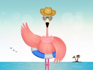 Yaz aylarında pembe flamingo