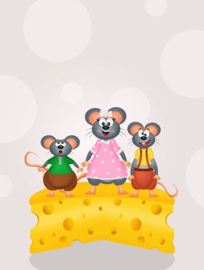 fareler peynir üzerinde gösterimi