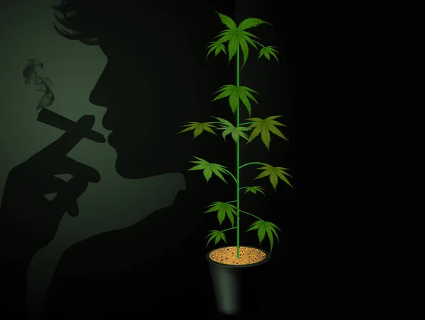 Illustration Fumer Cannabis — Photo