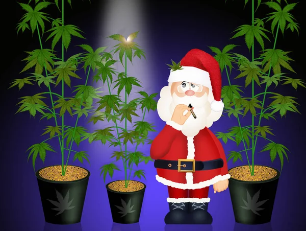 Ilustración Santa Claus Con Cannabis —  Fotos de Stock