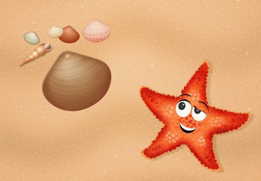 komik denizyıldızı toprak kabuk n kum