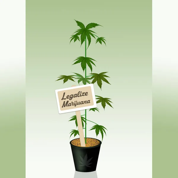 Illustrazione Legalizzare Marijuana — Foto Stock