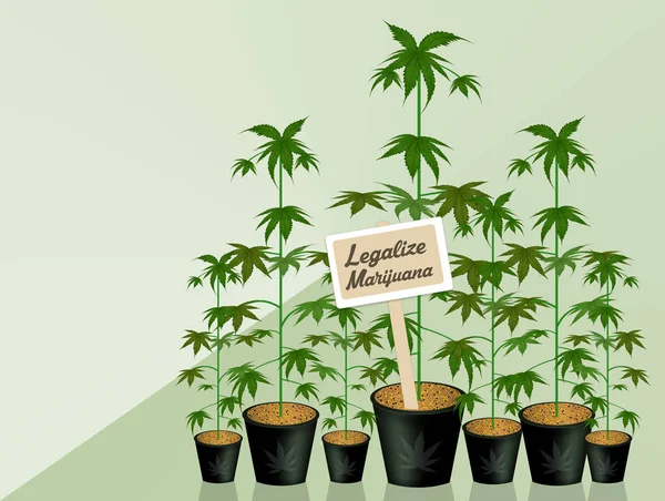Ilustración Plantas Marihuana —  Fotos de Stock