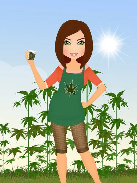 Cannabisplanten Zonlicht — Stockfoto