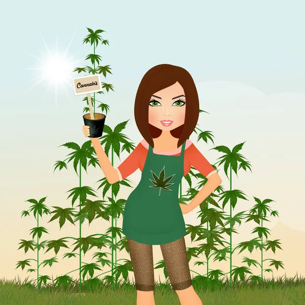 Chica Con Planta Cannabis —  Fotos de Stock