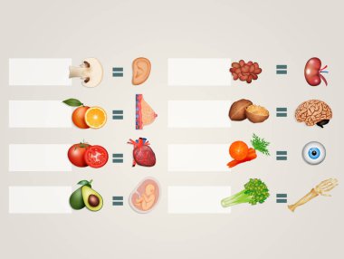 Gıda benzer organları gösteren resim