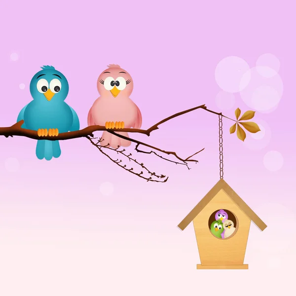 Bird Family Birdhouse — Stock Photo, Image