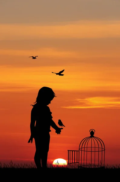 Dívka Ptačí Klecí Při Západu Slunce — Stock fotografie