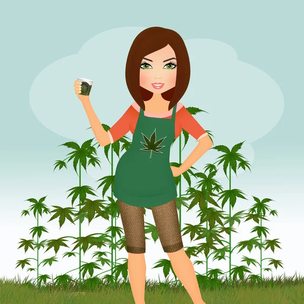 Illustration Der Cannabis Pflanze — Stockfoto