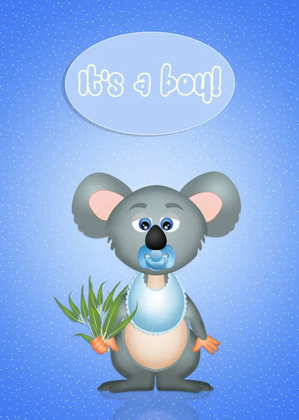 Illustration Baby Koala — Stock Photo, Image