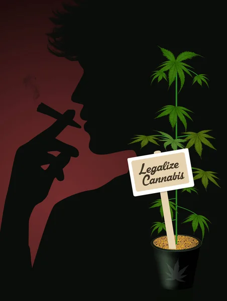 Ilustrace Legalizovat Konopí — Stock fotografie