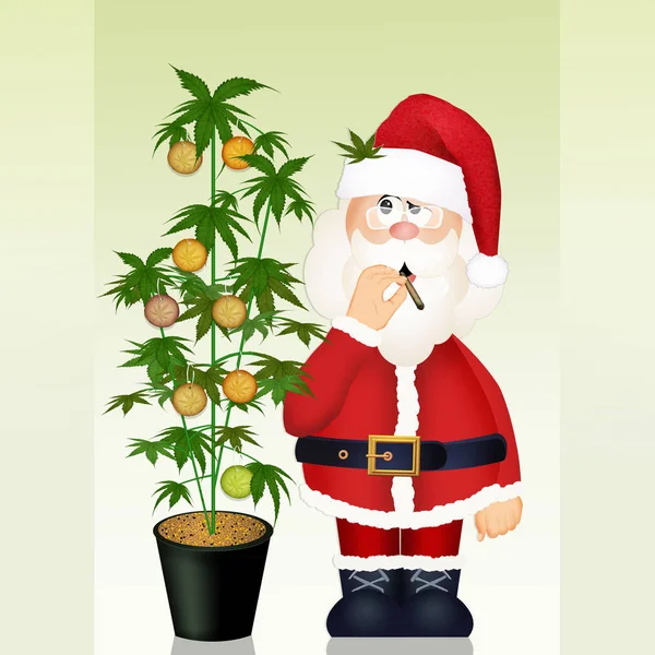 Santa Claus Växer Marijuana — Stockfoto