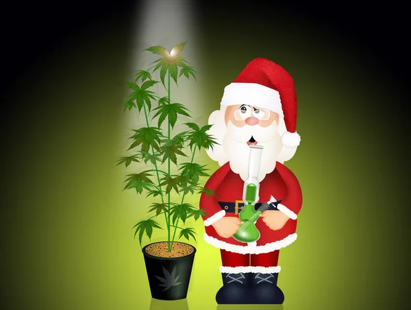 Illustration Jultomten Med Marijuana — Stockfoto