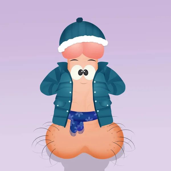 Funny Illustration Penis Winter — Stock Photo, Image