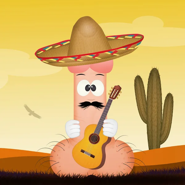 Funny Penis Sombrero — Stock Photo, Image