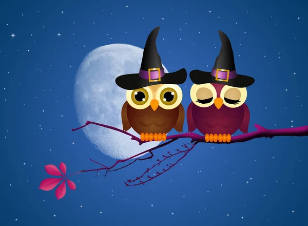 Illustration Owls Halloween — Stock Photo, Image