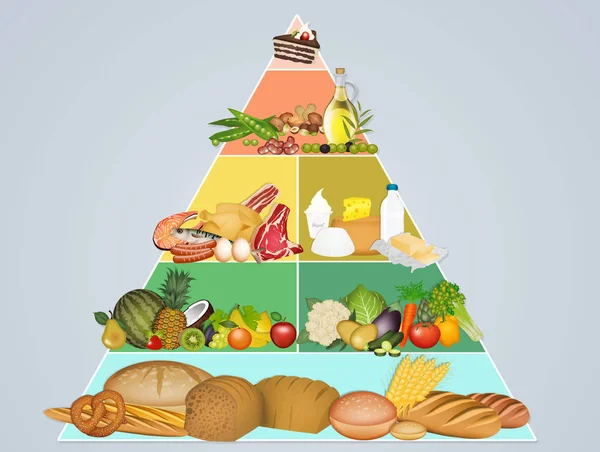 illustration of the food pyramid