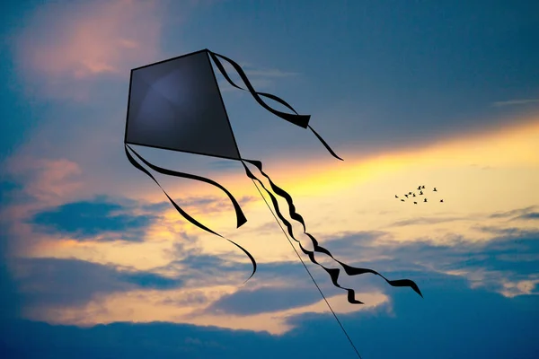 Illustration Kite Vid Solnedgången — Stockfoto