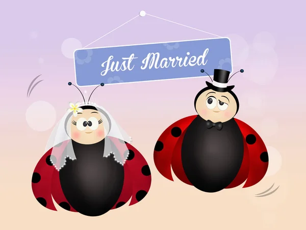 婚礼的瓢虫的插图 — 图库照片
