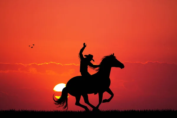 Rodeo Cowboy Pôr Sol — Fotografia de Stock