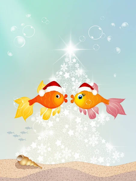 Peixes Vermelhos Com Chapéu Natal — Fotografia de Stock
