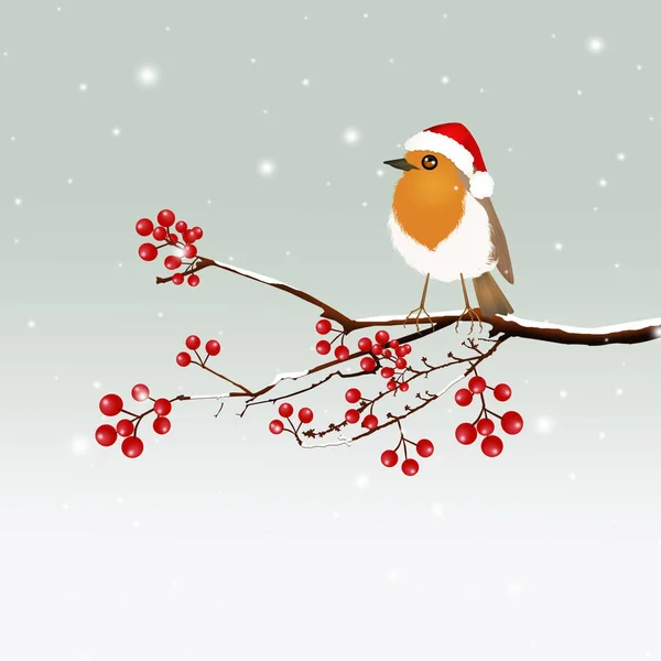Ilustrace Robin Vánocích — Stock fotografie
