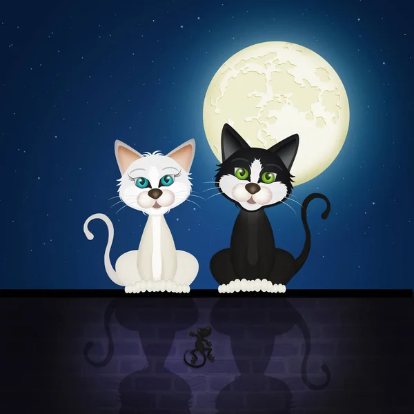 illustration of cats in love on the wall