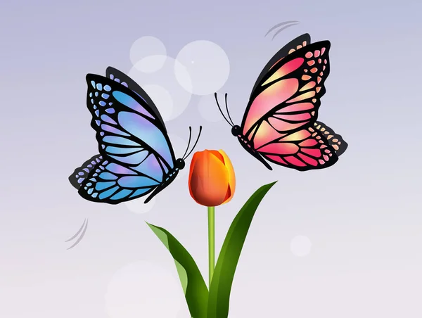 チューリップの花に蝶 — ストック写真
