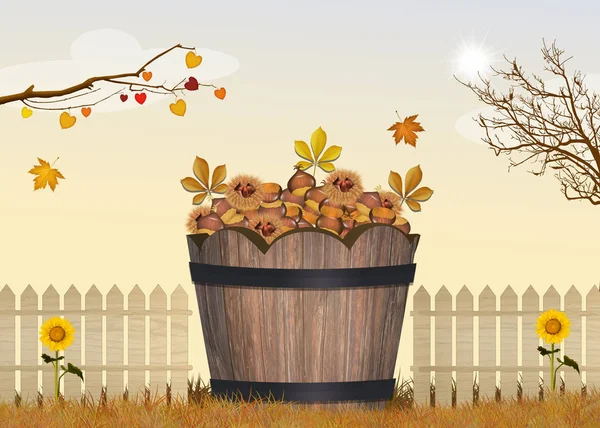 Collect Chestnuts Fall — Stock Photo, Image
