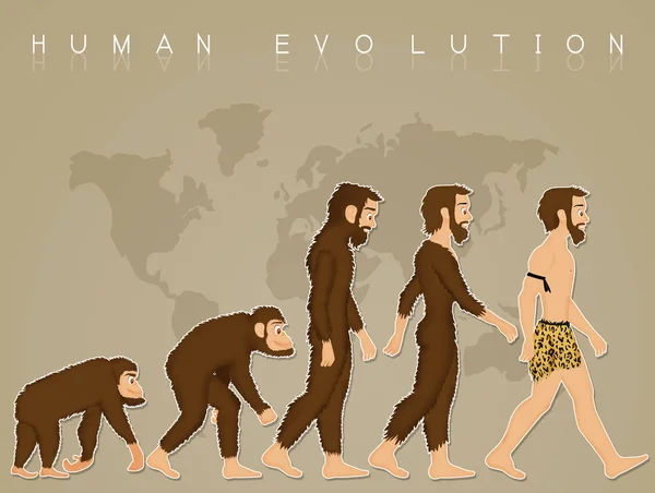 Ábra Emberi Evolúció — Stock Fotó