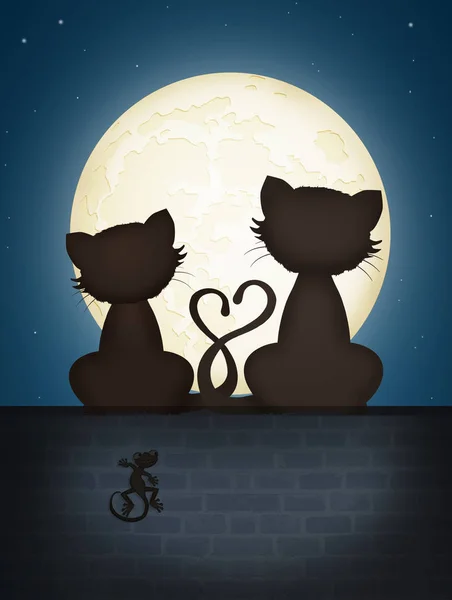 Couple Cats Wall — Stock Photo, Image
