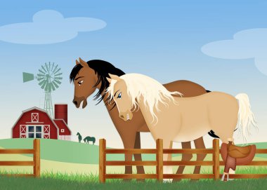 atları çiftlikte çifti