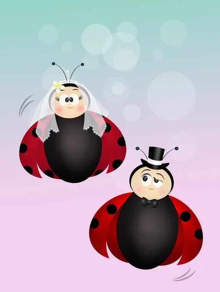 Illustration Drôle Coccinelles — Photo